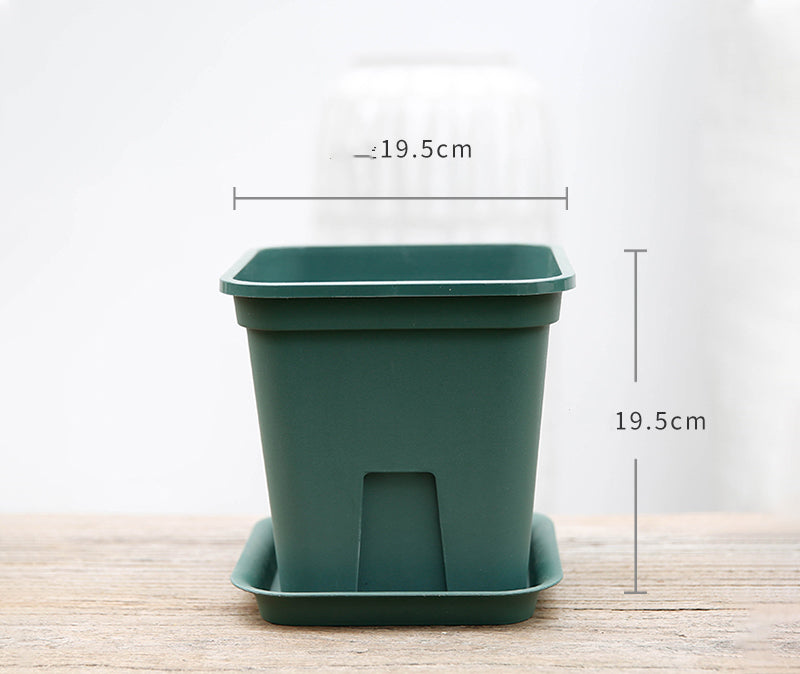 Root control planting basin