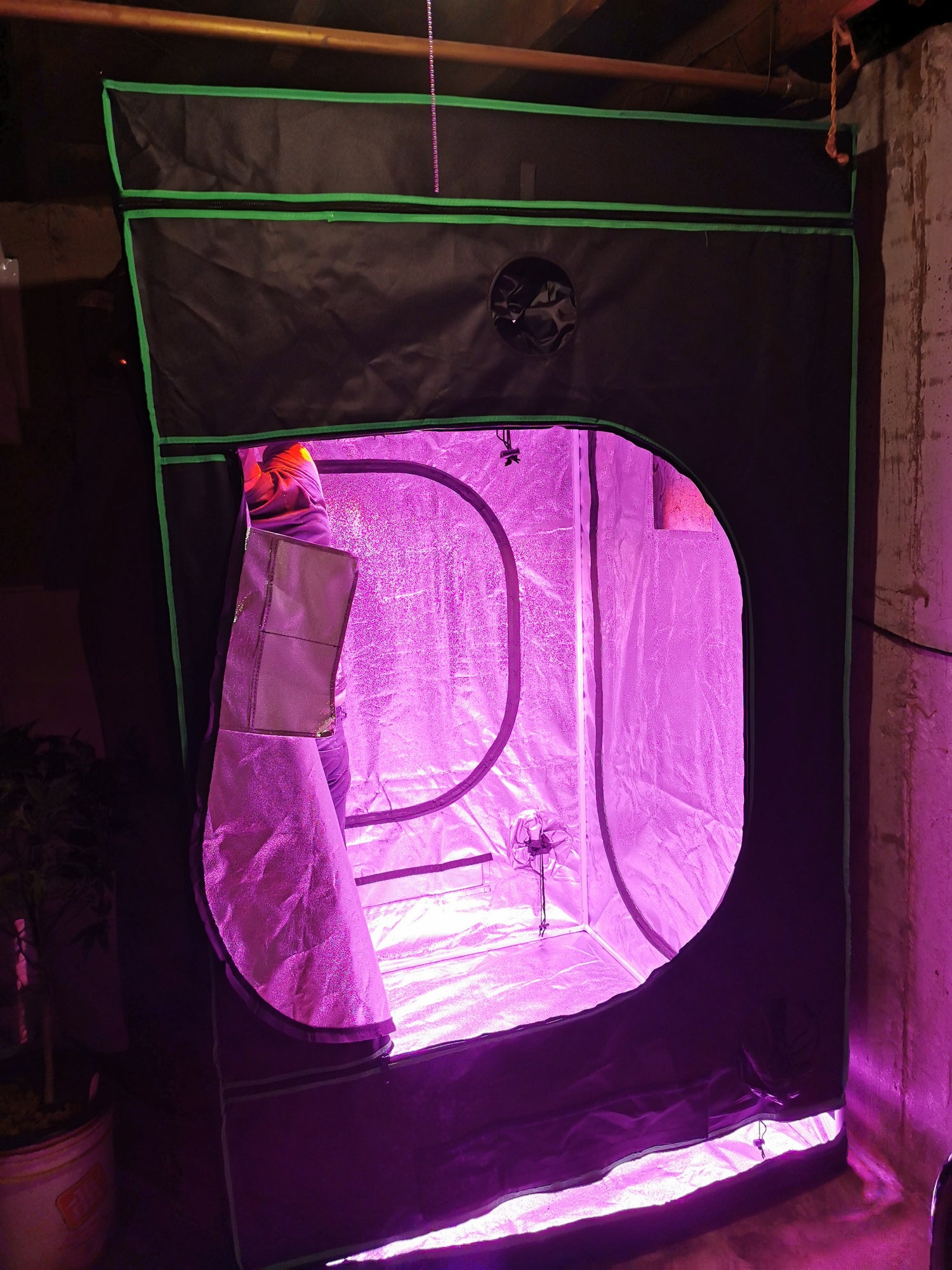 Growing Tents