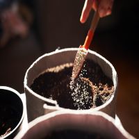 Cannabis Cultivation Products