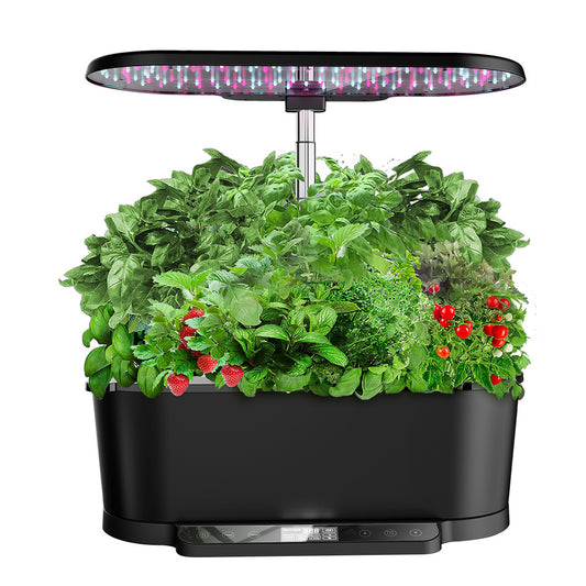 15-Hole Hydroponics Machine With LCD