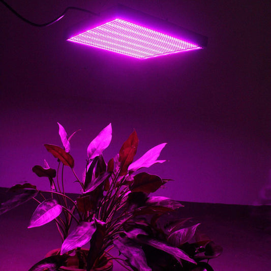 Cannabis growth light