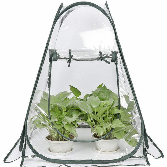 Outdoor Antifreeze Greenhouse