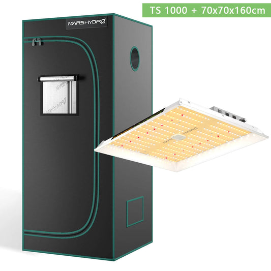 |200007763:201336099|200007763:201336100|200007763:201336103|200007763:201336106