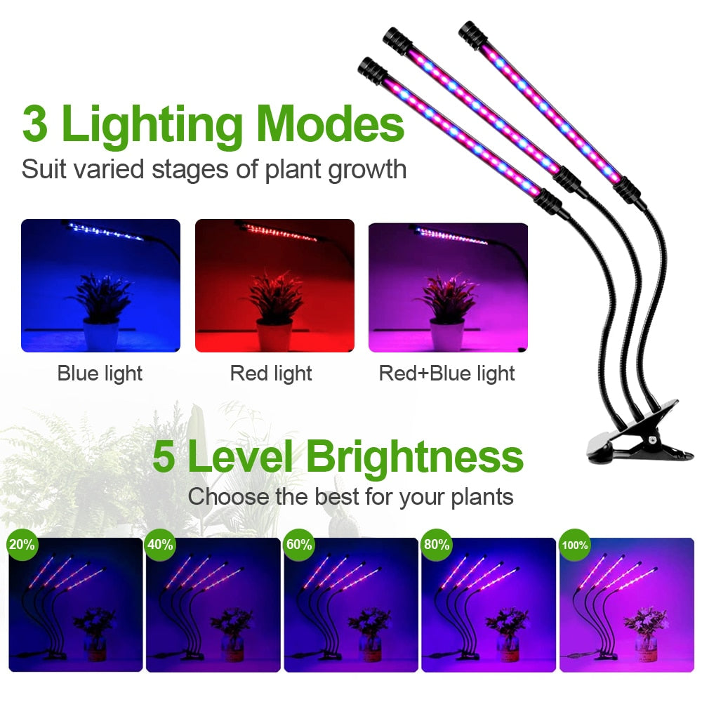 Full Spectrum Phyto LED Tent Grow Light