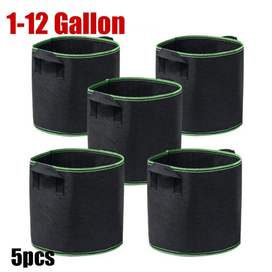 |14:200006154#1 gallon|14:200006156#2 gallon|14:200005536#3 gallon|14:200004889#5 gallon|14:200004890#7 gallon|14:200004891#10 gallon|14:200003699#12 gallon