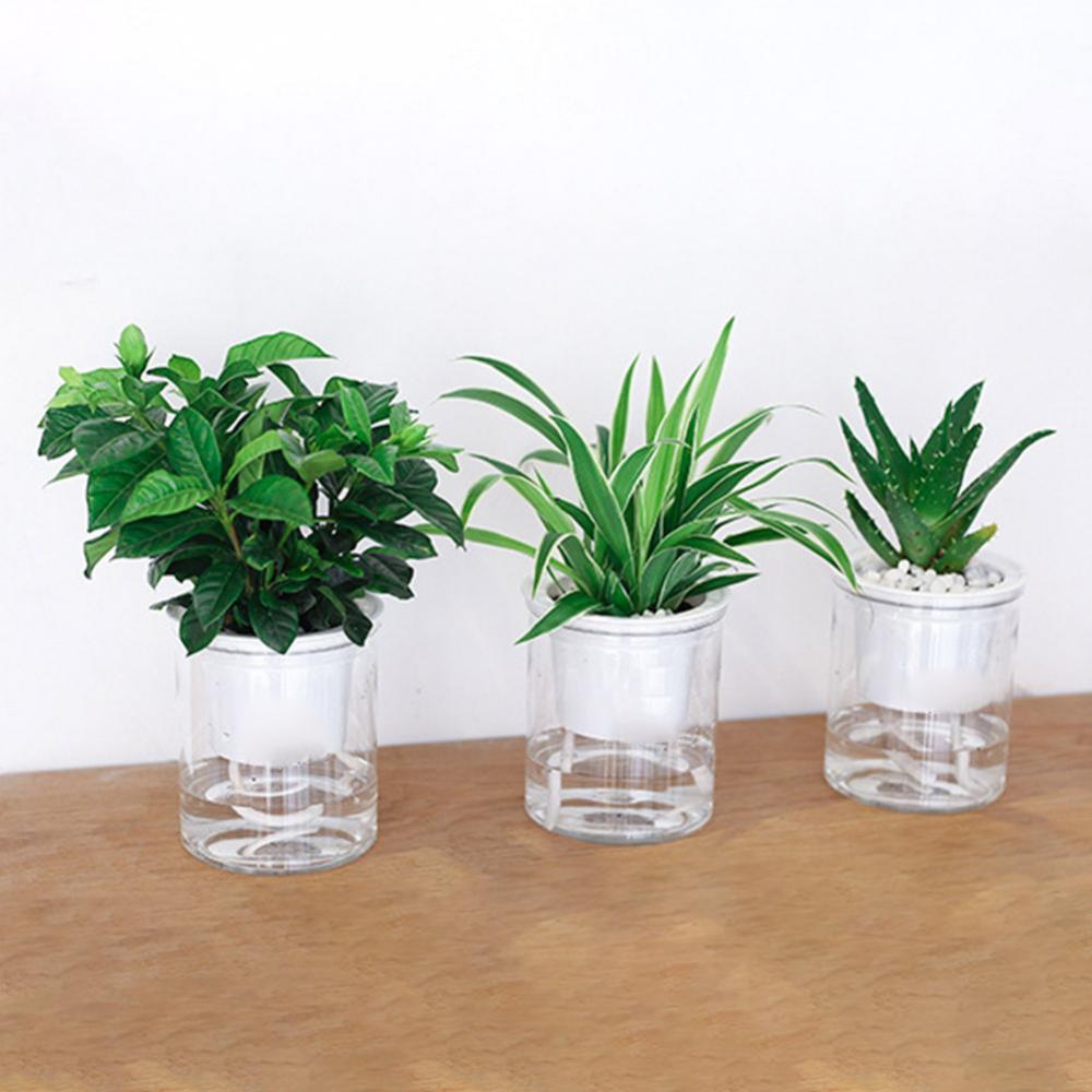Clear Automatic Water Absorption Double-Layer Self Watering Hydroponic Flower Pot