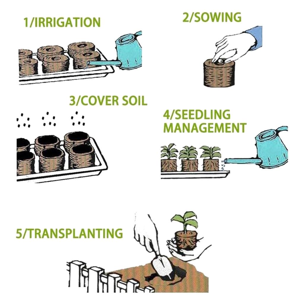 Jiffy Peat Seed Starter Pallet Nutrient Soil Block