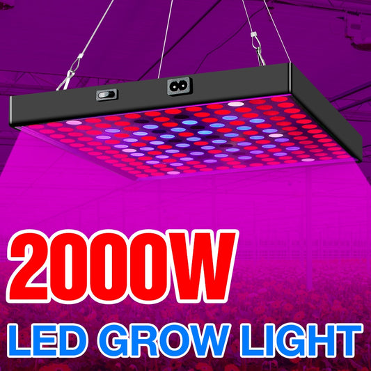 3000W  Full Spectrum Phyto LED Grow Light 220V