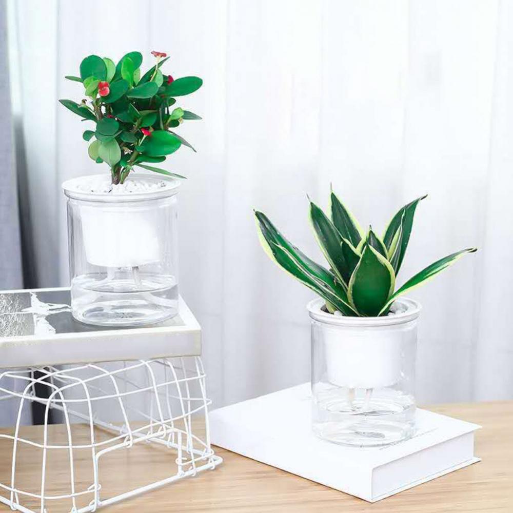 Clear Automatic Water Absorption Double-Layer Self Watering Hydroponic Flower Pot