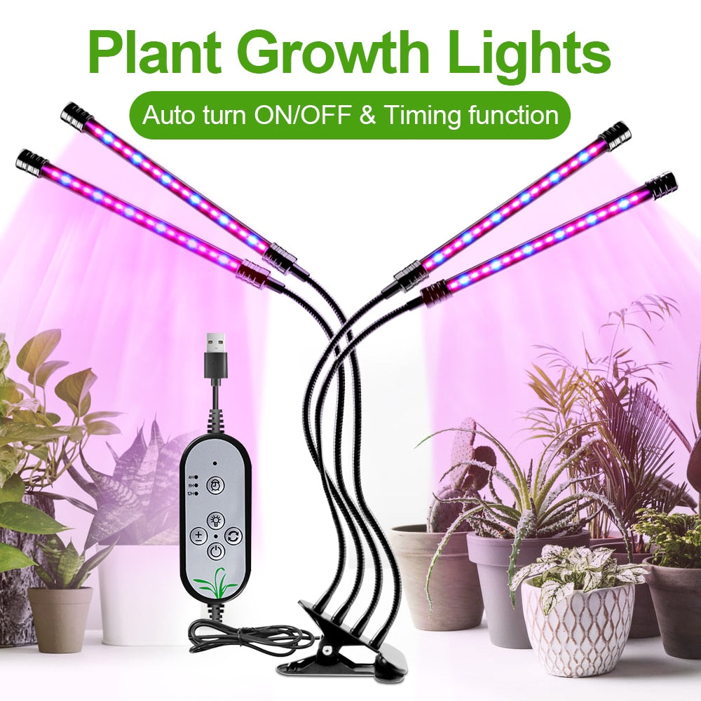 Full Spectrum Phyto LED Tent Grow Light