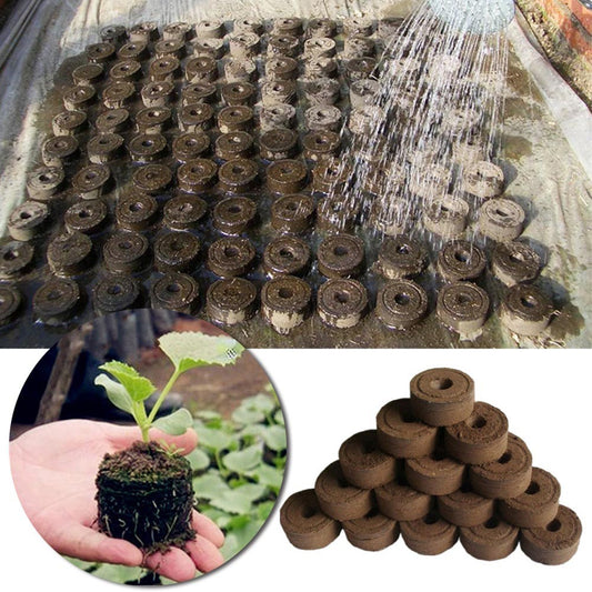 Jiffy Peat Seed Starter Pallet Nutrient Soil Block
