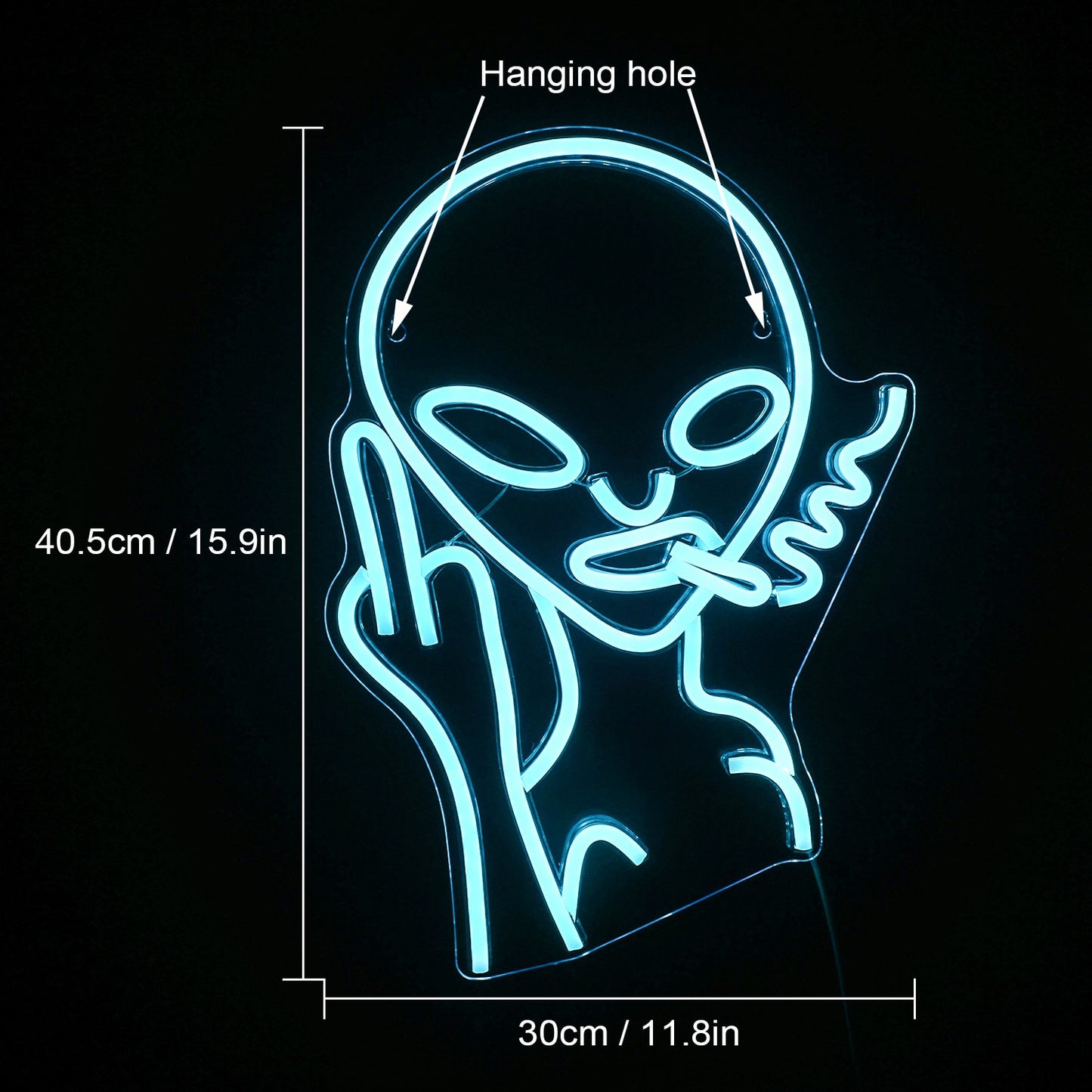 7 Color LED Neon Smoking Alien Wall Decor