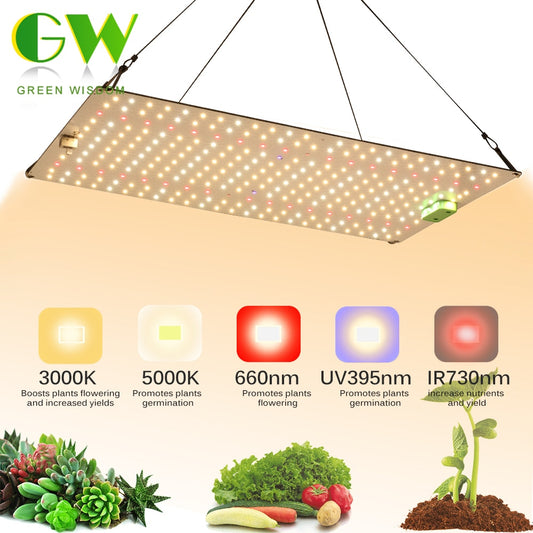 Samsung Quantum LED Grow Light