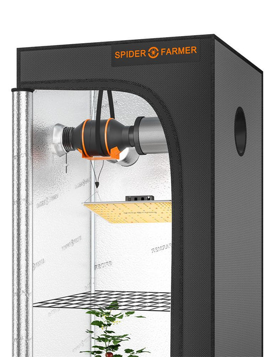 |249:235#SF1000 Grow Kits;200007763:201336099|249:235#SF1000 Grow Kits;200007763:201336100|249:235#SF1000 Grow Kits;200007763:201336106