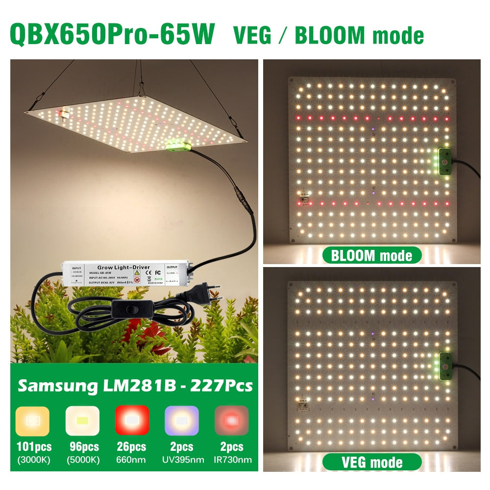 Samsung Quantum LED Grow Light