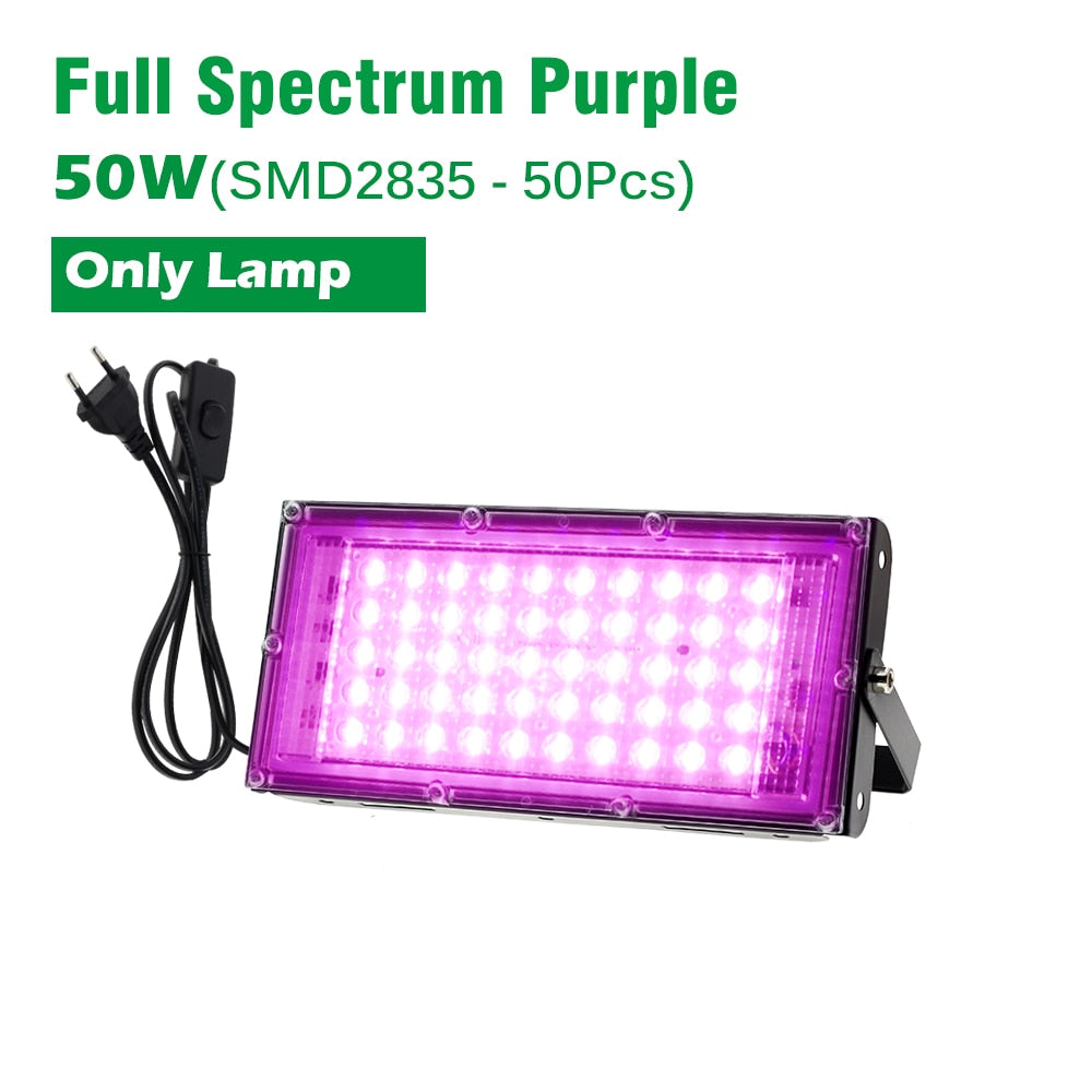 LED Grow Light With Clip / Stand